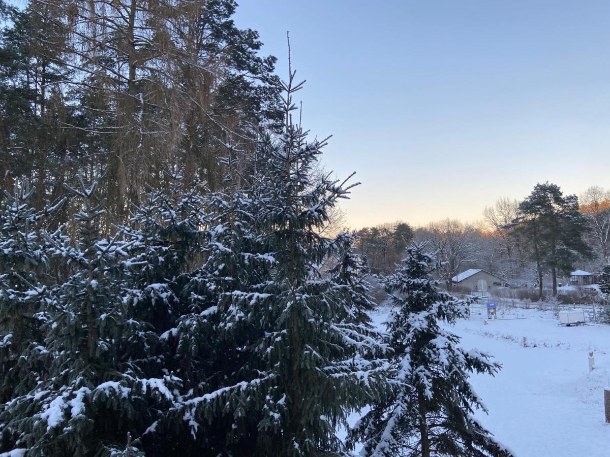 Waldwerk Wurlgrund Lychen Aparthotel ภายนอก รูปภาพ