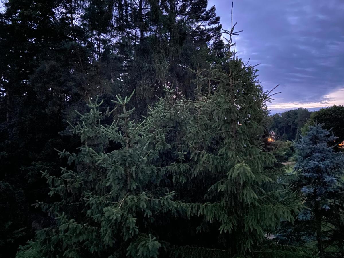 Waldwerk Wurlgrund Lychen Aparthotel ภายนอก รูปภาพ