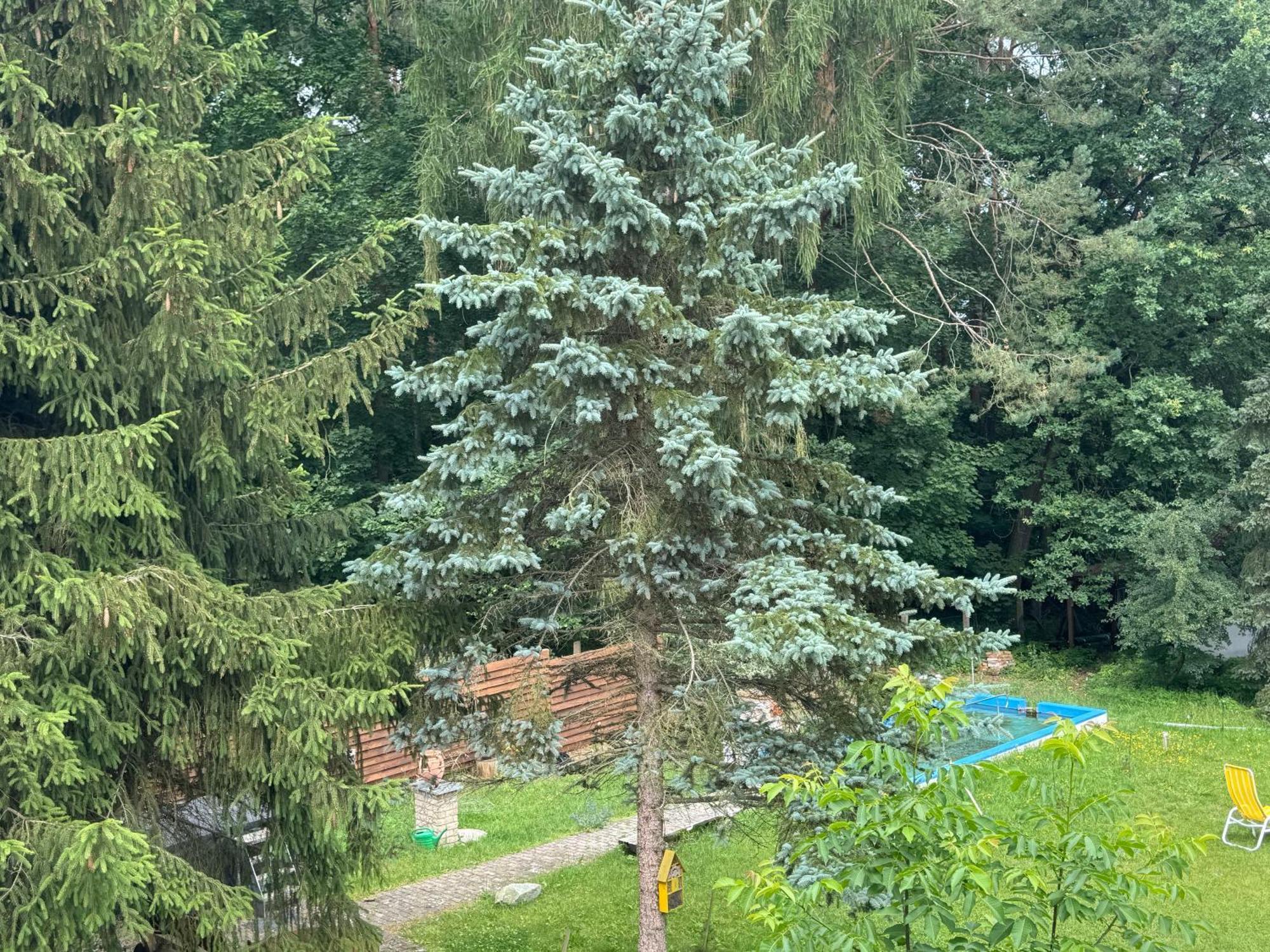 Waldwerk Wurlgrund Lychen Aparthotel ภายนอก รูปภาพ